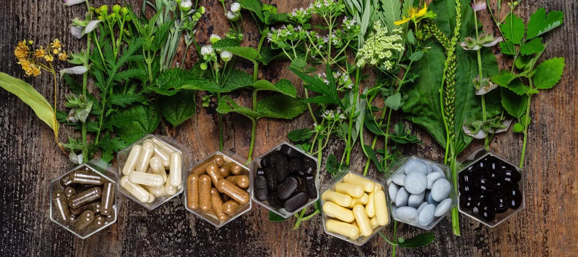 Dietary-food-supplements-banner-e1725354210891