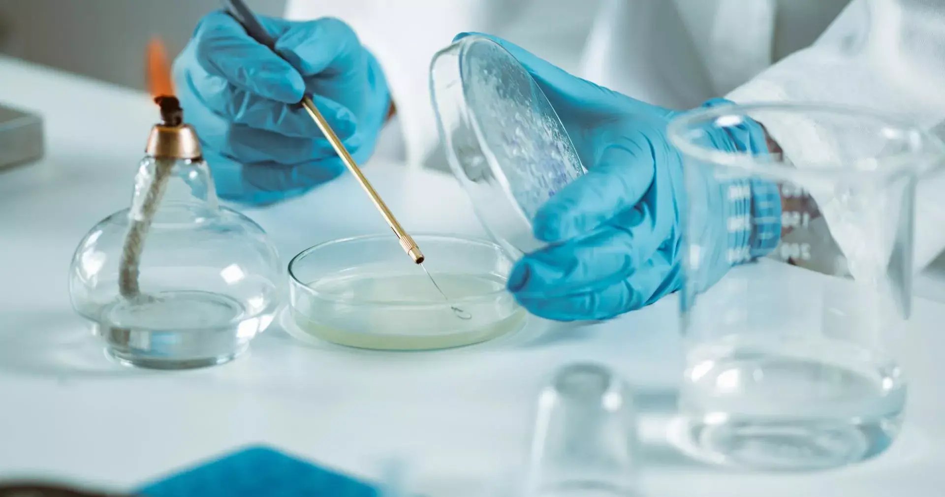 Microbiology-1-e1722330485650