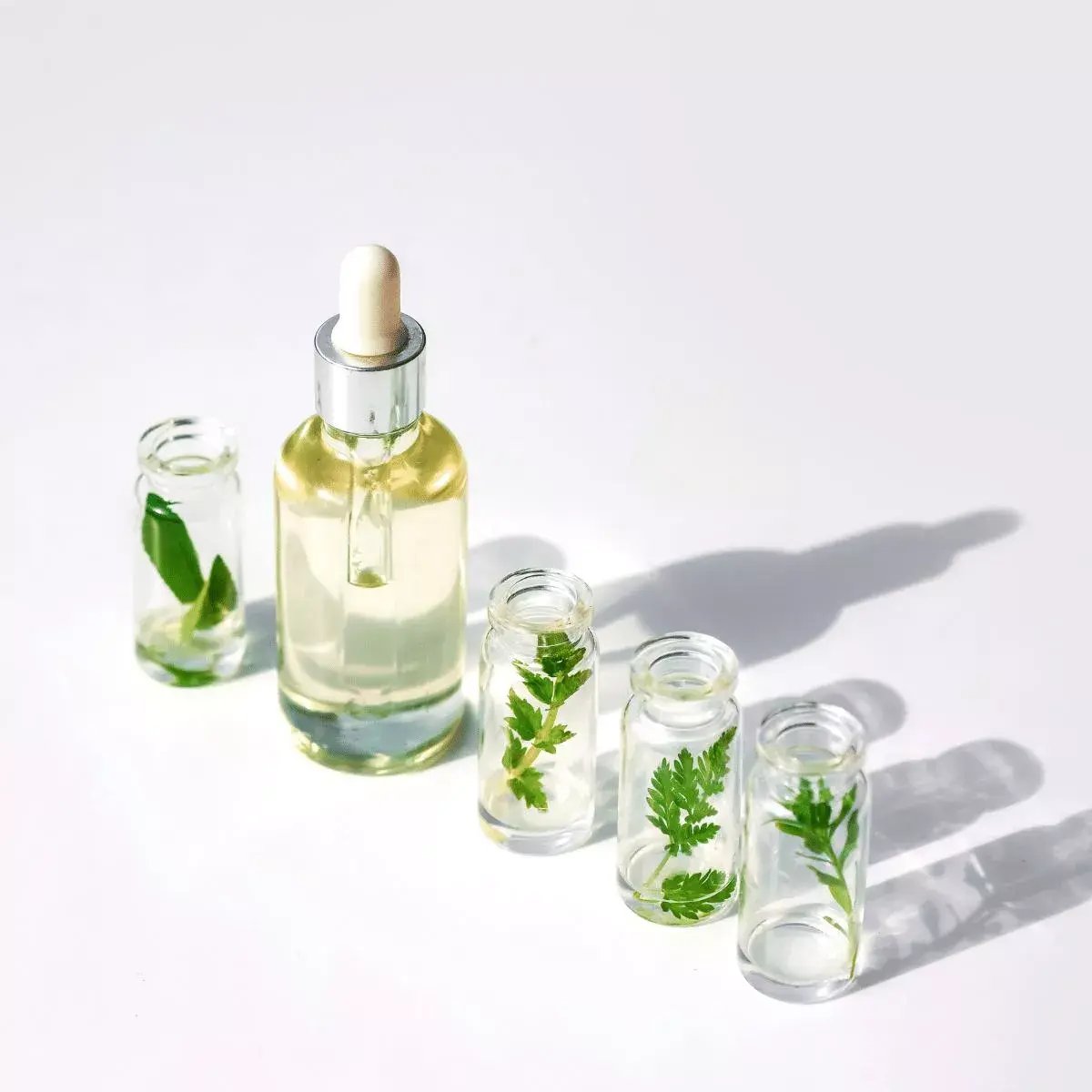 Novel-Food-New-Ingredients-Picture-1