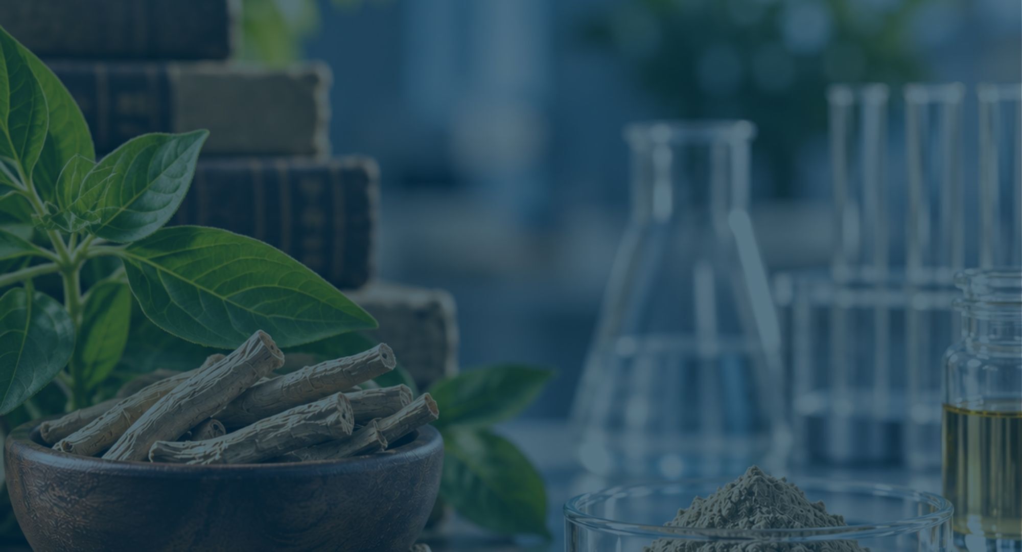 Ancient History vs. Modern Market Strategy: Botanical shift: Ashwagandha